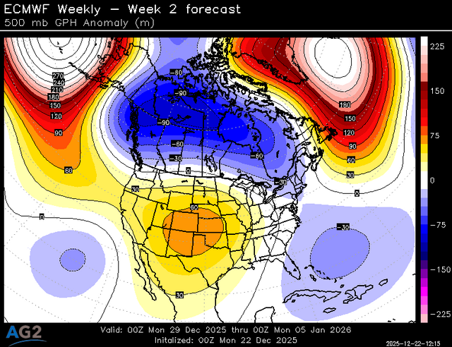 500za_week2_bg_NA (4).png