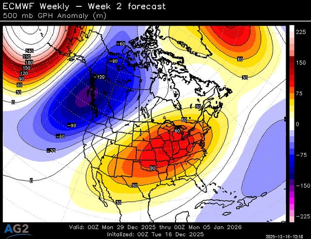 500za_week2_bg_NA (5).png