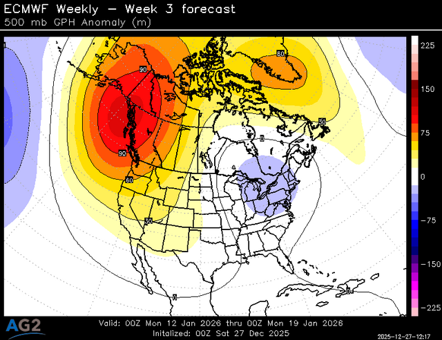 500za_week3_bg_NA (6).png