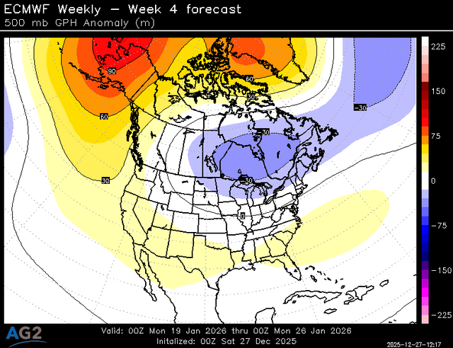 500za_week4_bg_NA (6).png