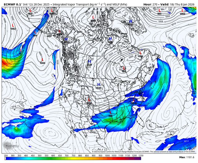 ecmwf-deterministic-namer-ivt-7895200.png