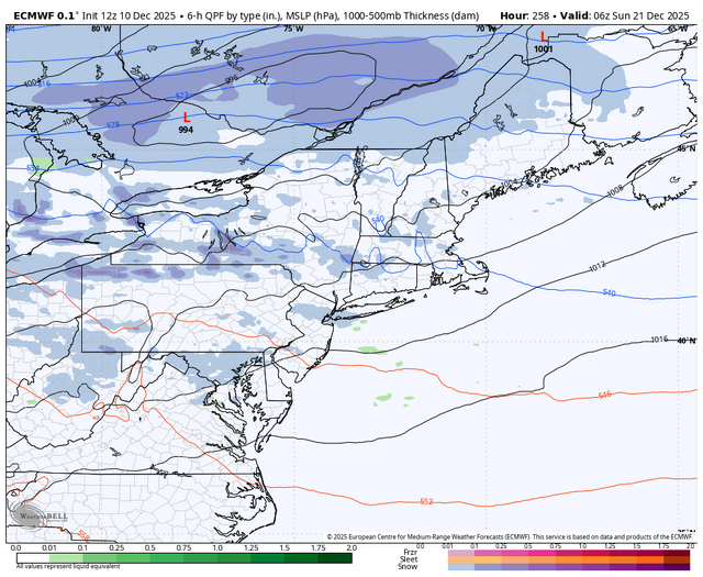 ecmwf-deterministic-ne-instant_ptype-6296800.png