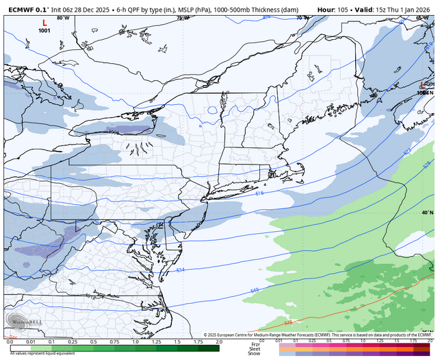 ecmwf-deterministic-ne-instant_ptype-7279600.png