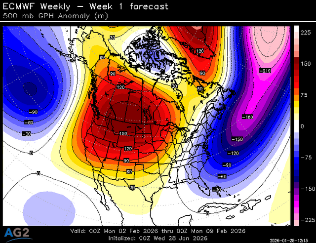 500za_week1_bg_NA (3).png