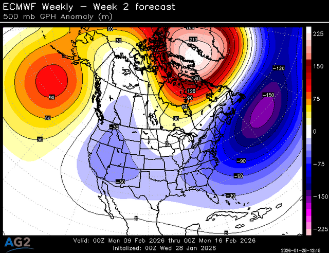 500za_week2_bg_NA (9).png