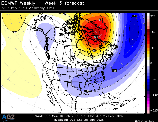 500za_week3_bg_NA (9).png