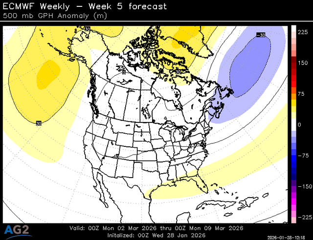 500za_week5_bg_NA (3).png