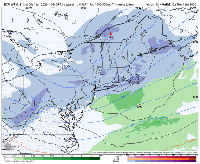 ecmwf-deterministic-ne-instant_ptype-7268800 (1).png