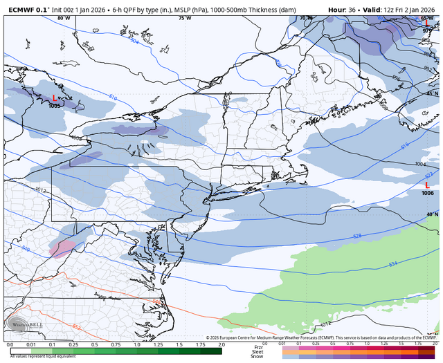 ecmwf-deterministic-ne-instant_ptype-7355200.png