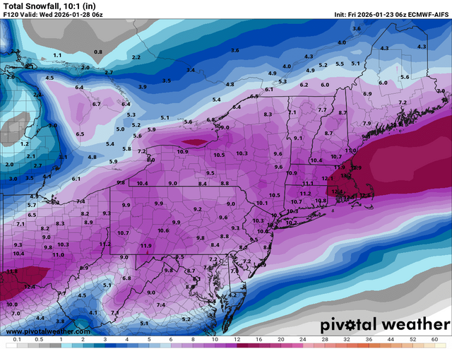 ecmwf_aifs-sn10_acc-imp-us_ne-2026012306-120.png
