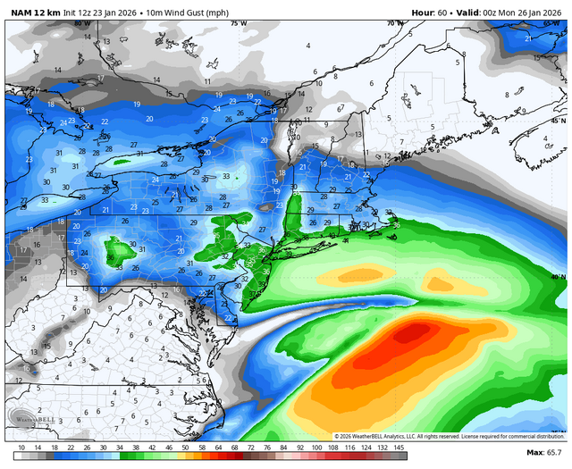 nam-218-all-ne-gust_mph-9385600 (1).png