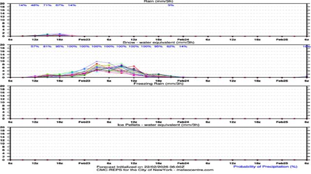 Precipitation_Type_Meteogram_Hernando.jpg