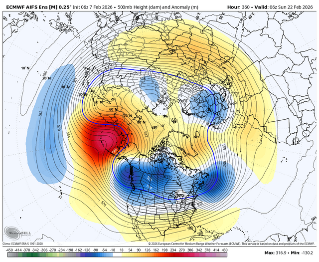 ecmwf-aifs-ensemble-avg-nhemi-z500_anom-1740000.png