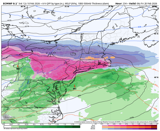 ecmwf-deterministic-ne-instant_ptype-1567200.png