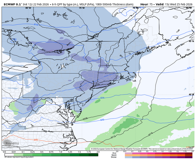 ecmwf-deterministic-ne-instant_ptype-2031600.png