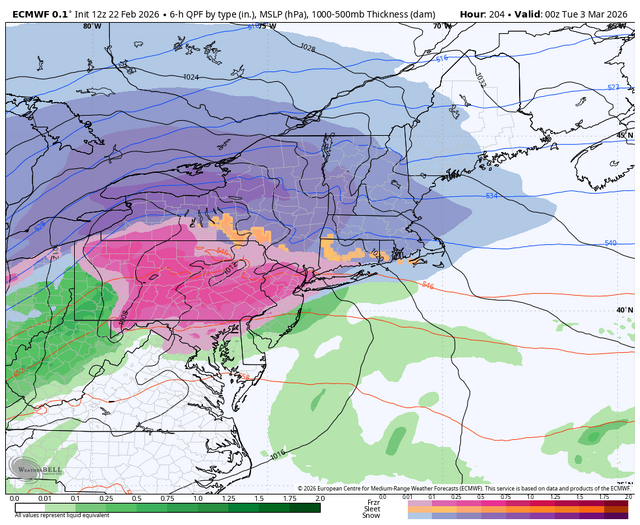 ecmwf-deterministic-ne-instant_ptype-2496000.png