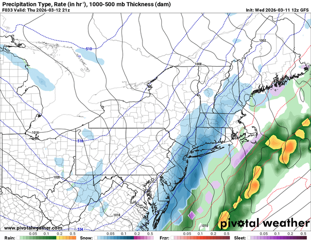 prateptype_cat-imp.us_ne (1).png