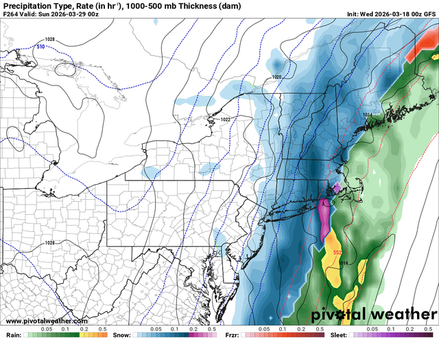 prateptype_cat-imp.us_ne (2).png