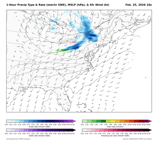 panel1_precip_type_20260225_10z.png