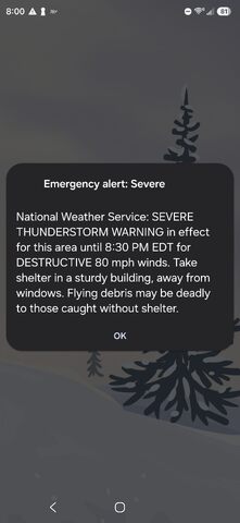 Screenshot_20260704_200015_Wireless Emergency Alerts.jpg
